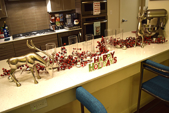 HOLIDAYS IN THE CITY